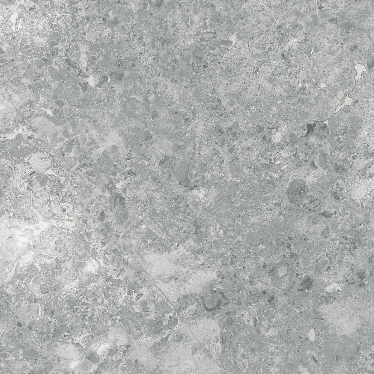 RAKO Atacama DAK62121 fully sintered tile grey 60x60 cm | RAKO