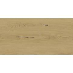 RAKO Bricola DAKV1850 fully sintered tile beige 60x120 cm