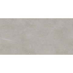 RAKO Fly DAKV9883 fully sintered tile grey 60x120 cm