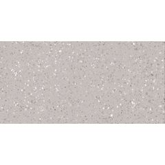 RAKO Porfido DASV9811 fully sintered tile grey 60x120 cm