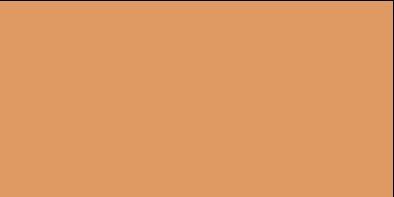 COLOR TWO sv.oranžová mat 10x20