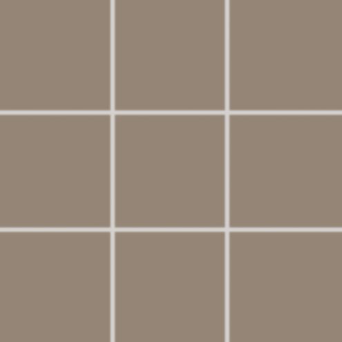 COLOR 25 tobacco 10x10