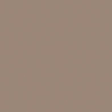 COLOR 25 tobacco 20x20