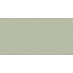 RAKO Compila WADMB862 obkládačka světle zelená 20x40 cm