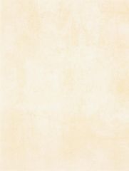 RAKO Patina WATKB230 wall tile light beige 25x33 cm