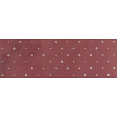 RAKO Blend WITVE810 decor dark red 20x60 cm