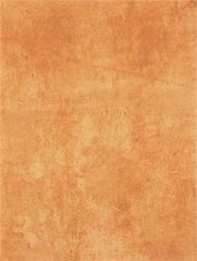 RAKO Patina WATKB231 wall tile brown-red 25x33 cm