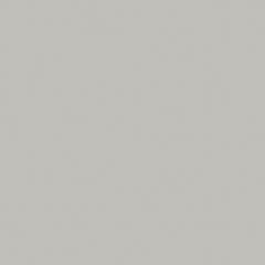 RAKO Taurus Color TAA34003 carreaux porcelainés gris clair 30x30 cm