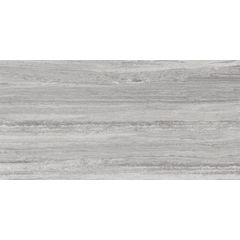RAKO Alba DARV1733 fully sintered tile grey 60x120 cm