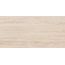 RAKO Alba DARV1731 fully sintered tile beige 60x120 cm

