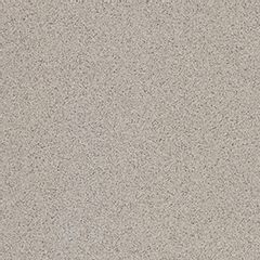 RAKO Taurus Industrial TAA2Z076 fully sintered tile grey 20x20 cm