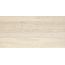 RAKO Alba DDPSE731 decor beige 30x60 cm
