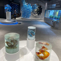 Světová výstava EXPO 2020 