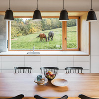 Family house - series Betonico