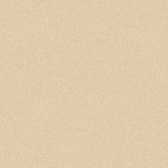 RAKO Compila DAA4H868 fully sintered tile ochre 45x45 cm
