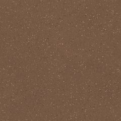 RAKO Compila DAA4H869 fully sintered tile brown-red 45x45 cm
