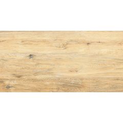 RAKO Pino Outdoor DAKV6896 fully sintered tile beige 60x120 cm