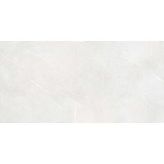 RAKO Fly DAKV9882 fully sintered tile light grey 60x120 cm