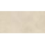 RAKO Fly DAKV9885 fully sintered tile beige 60x120 cm
