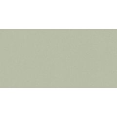 RAKO Compila WAKVK862 płytka ścienna jasnozielony 30x60 cm