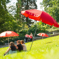 Zaměstnanci