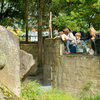 Zaměstnanci