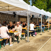 Zaměstnanci